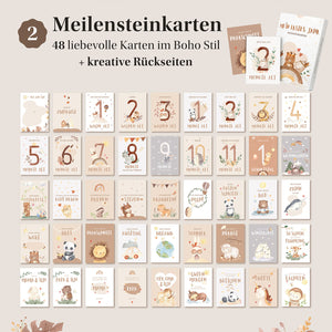 48 Meilensteinkarten "Mein erstes Jahr" mit niedlichen Tierillustrationen